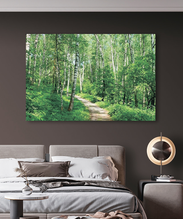 A path through a forest