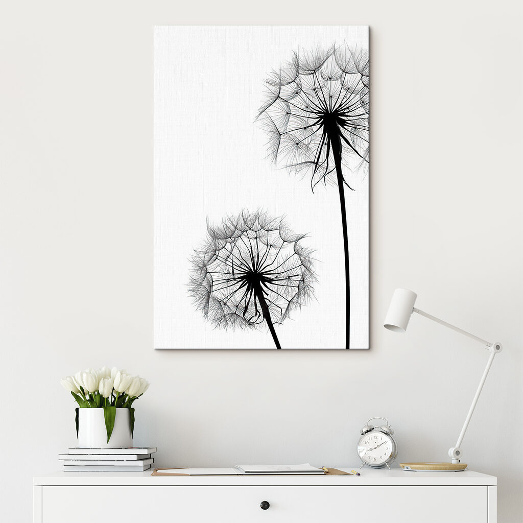 A close up of dandelion seeds