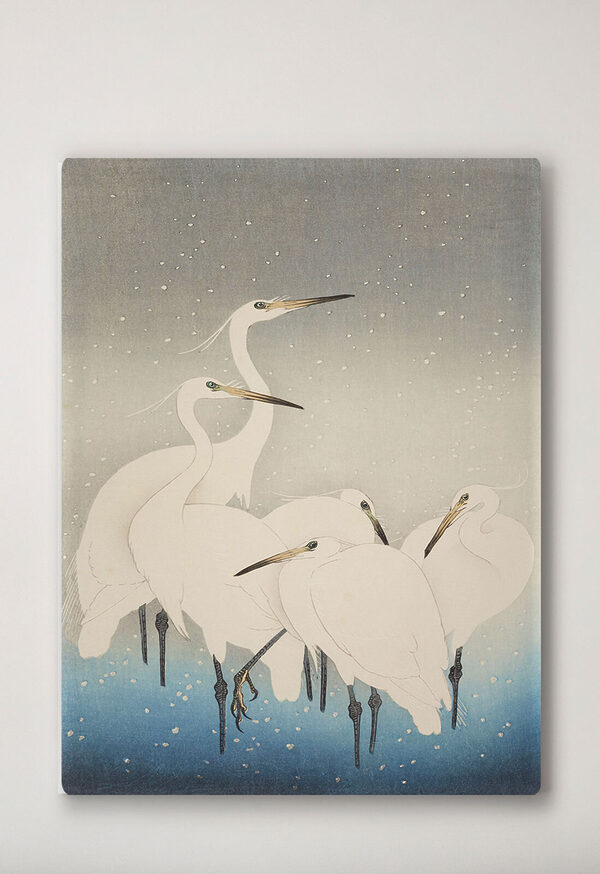 Cuadros A group of white birds with long beaks (SKU: s33730) Cuadros A group of white birds with long beaks (SKU: s33730)