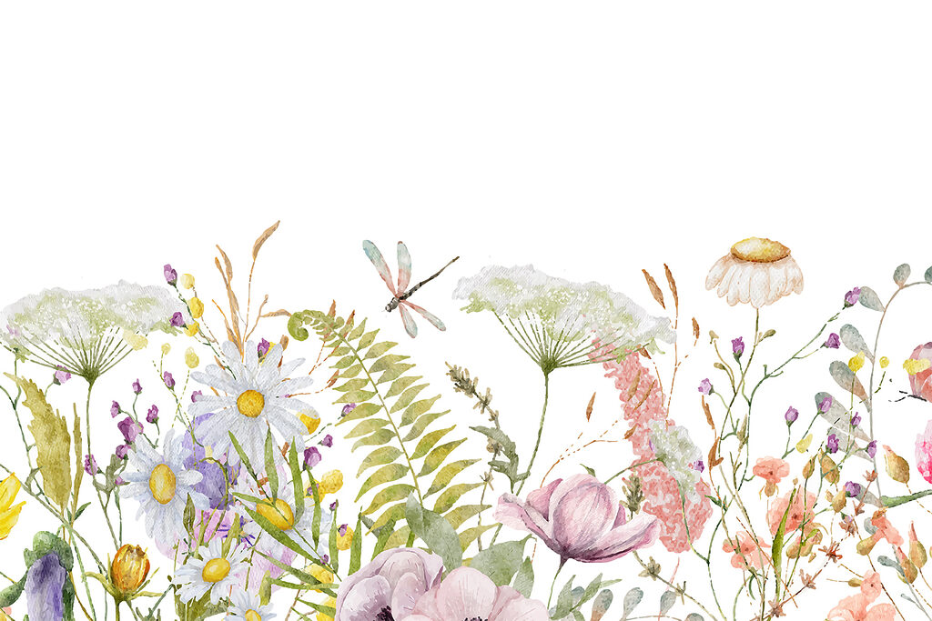 A watercolor of flowers and dragonflies