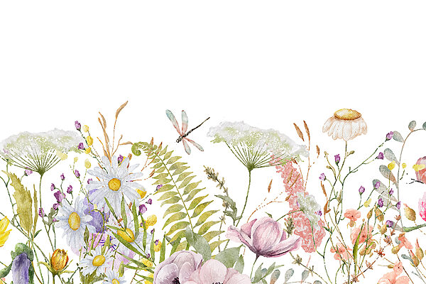 A watercolor of flowers and dragonflies