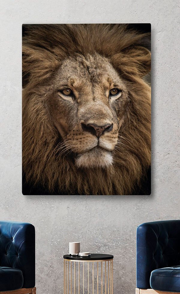 Cuadros Un primer plano del rostro de un león (SKU: s34572) Cuadros Cuadros Un primer plano del rostro de un león (SKU: s34572)