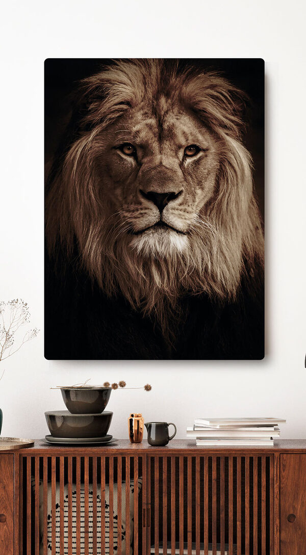 Cuadros Un león con una melena larga (SKU: s34576) Cuadros Cuadros Un león con una melena larga (SKU: s34576)