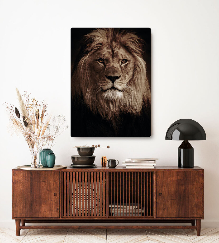 A lion with long mane