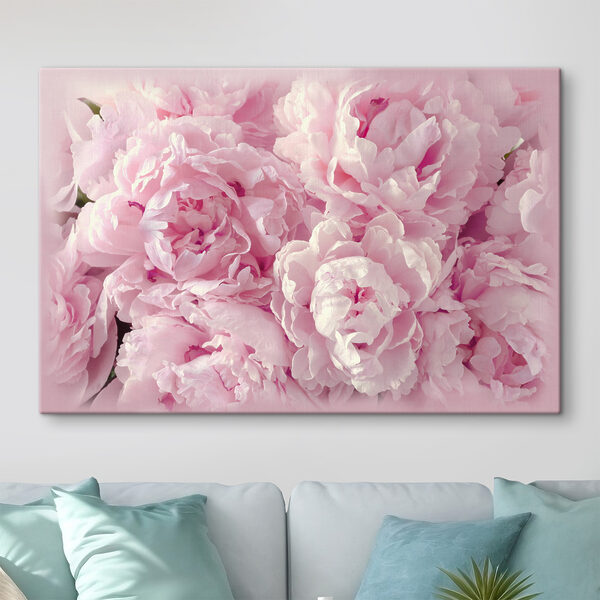 A group of pink flowers