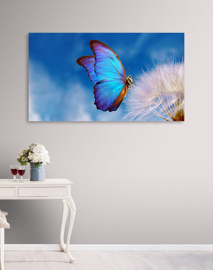 A butterfly on a flower