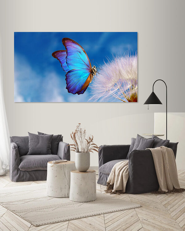 A butterfly on a flower
