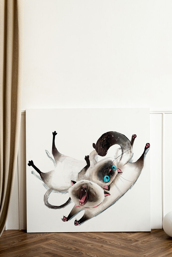 A cat lying on its back