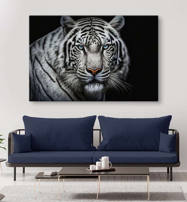 A white tiger with blue eyes