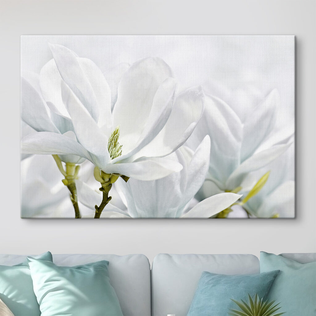 Close up of white flowers