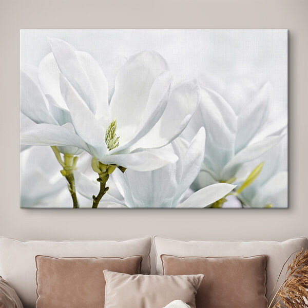 Close up of white flowers