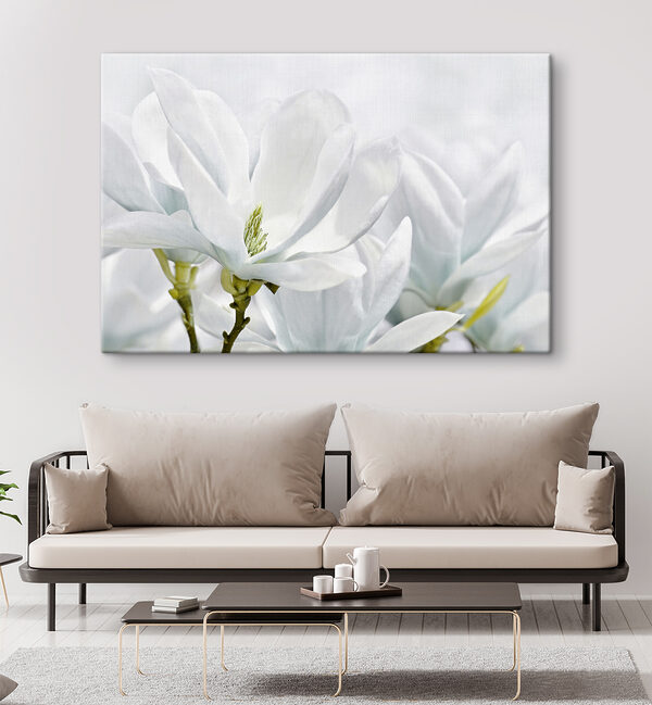 Close up of white flowers