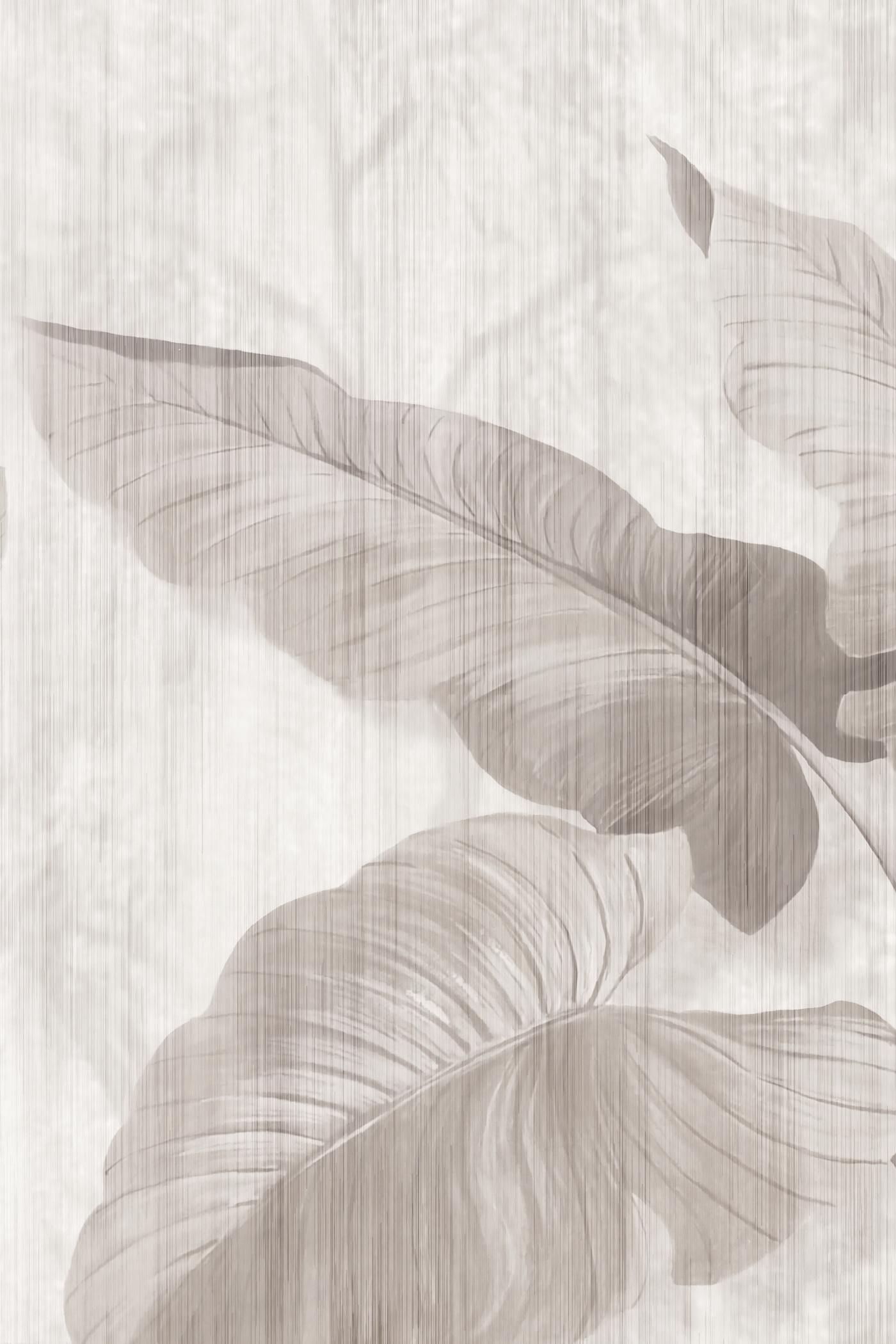 A close up of leaves