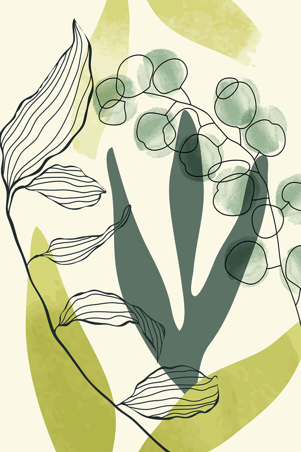 A drawing of a plant A drawing of a plant