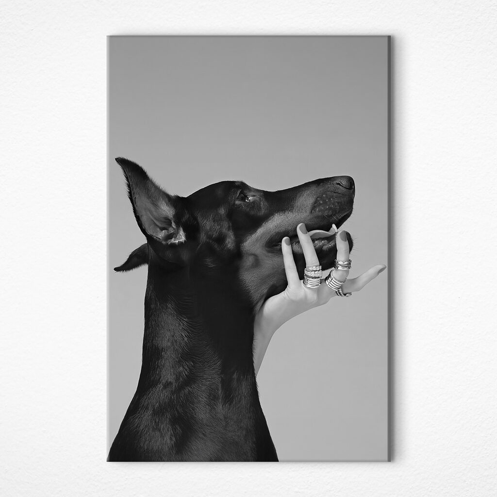 A hand holding a dog's face