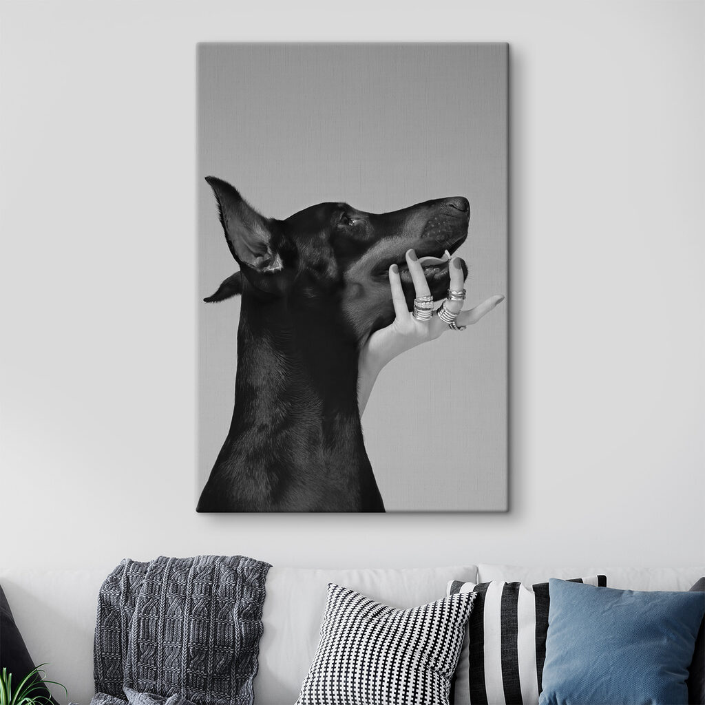 A hand holding a dog's face