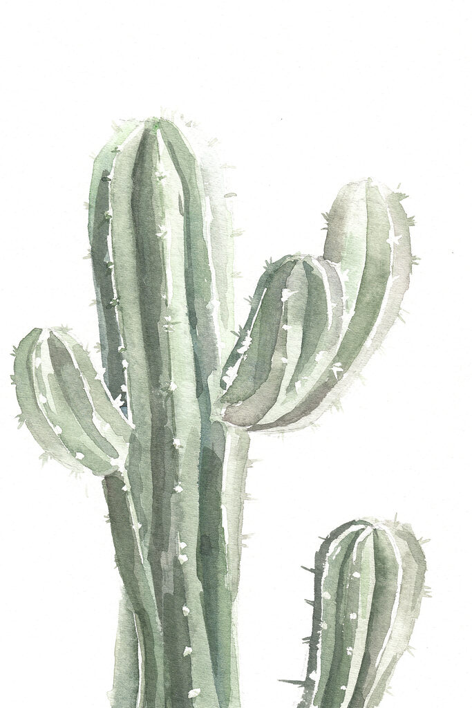 A watercolor of a cactus A watercolor of a cactus