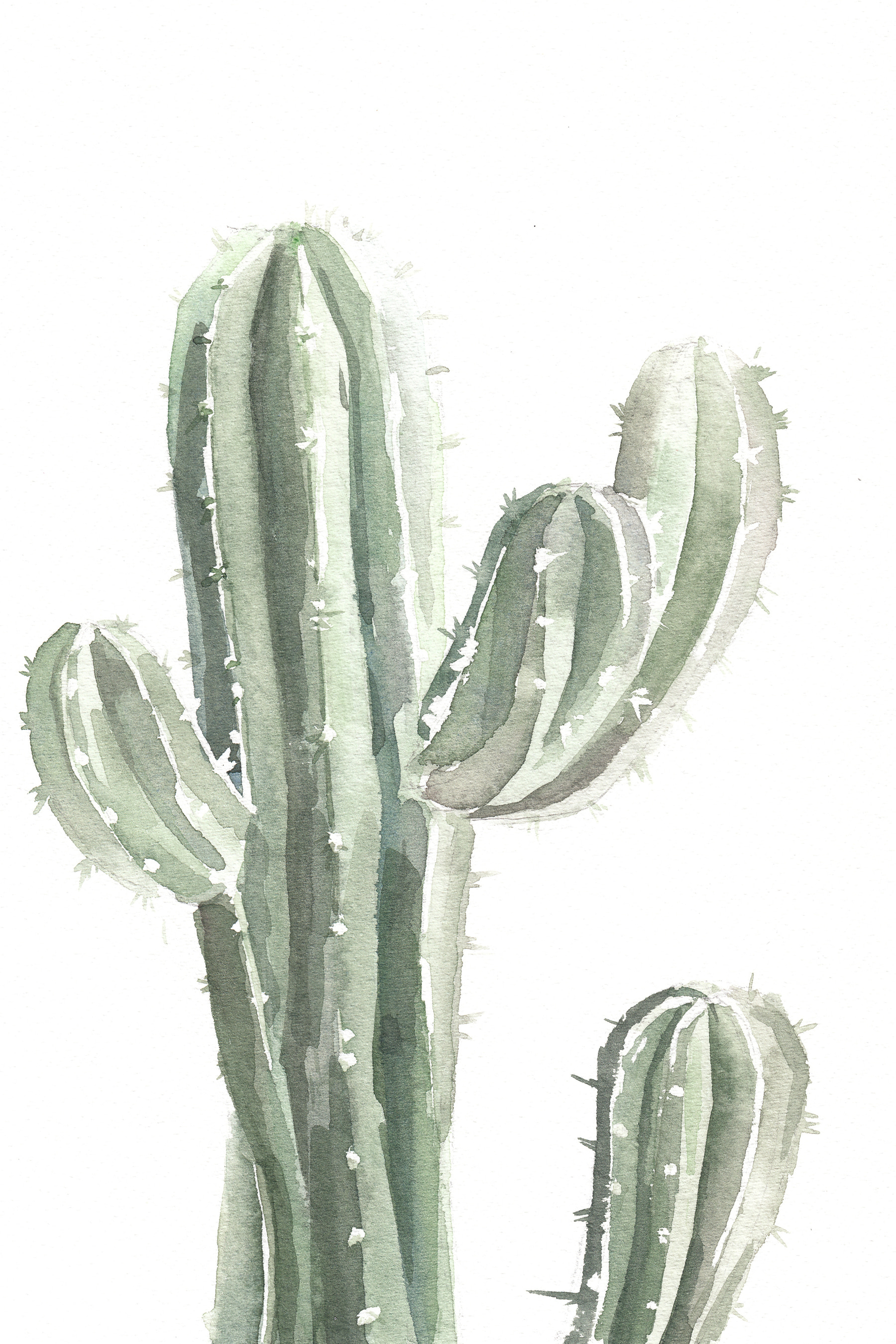 A watercolor of a cactus A watercolor of a cactus