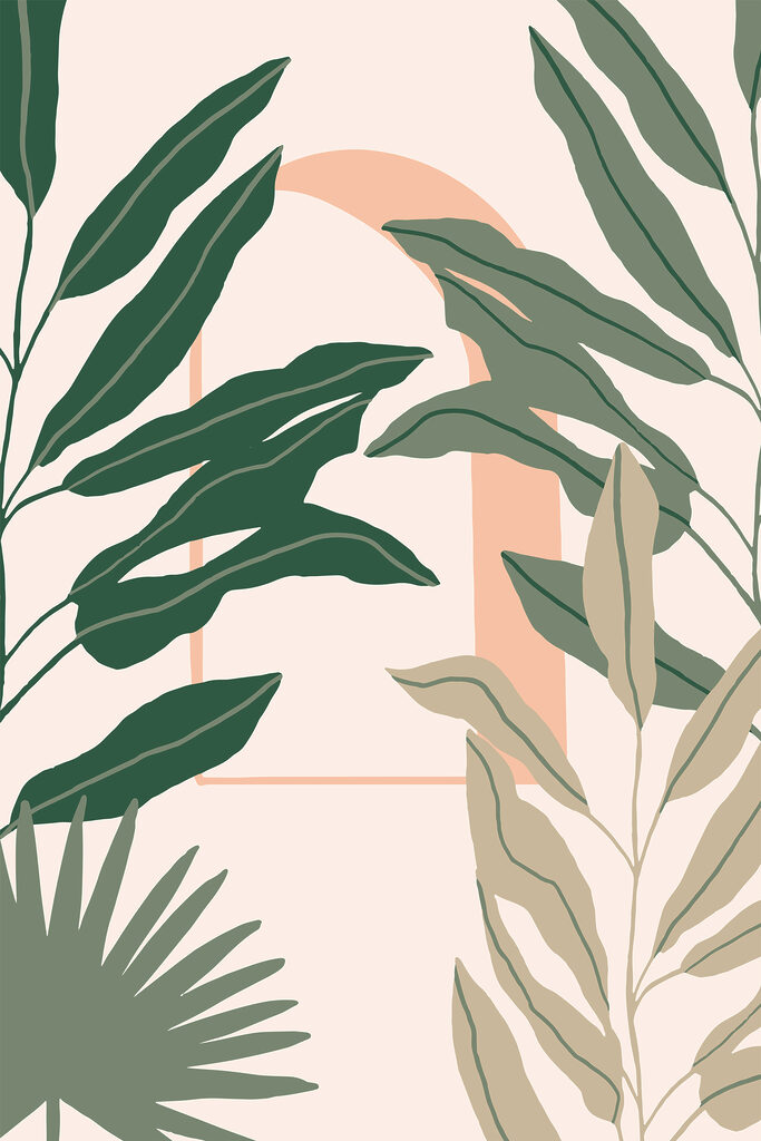 A close up of leaves