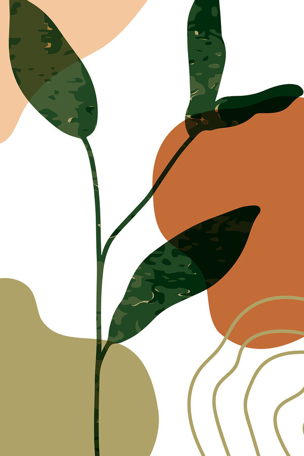 A green plant with brown and orange spots A green plant with brown and orange spots