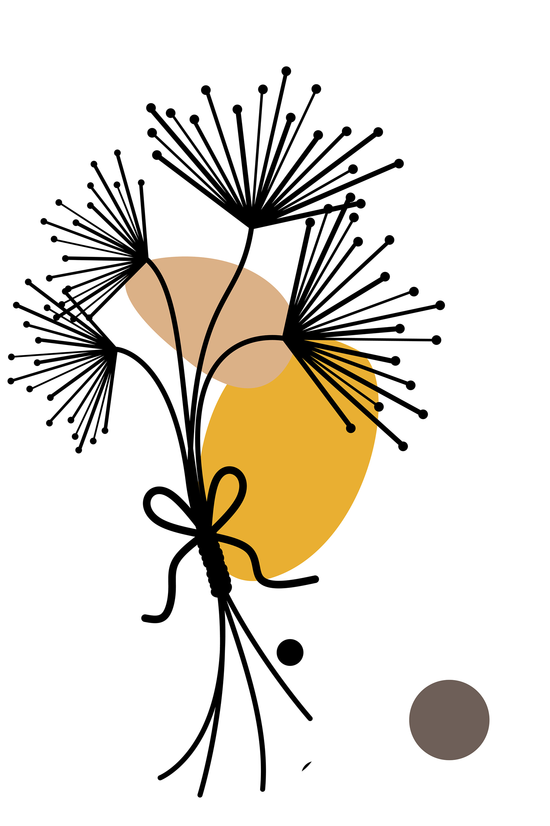 A black and yellow flower