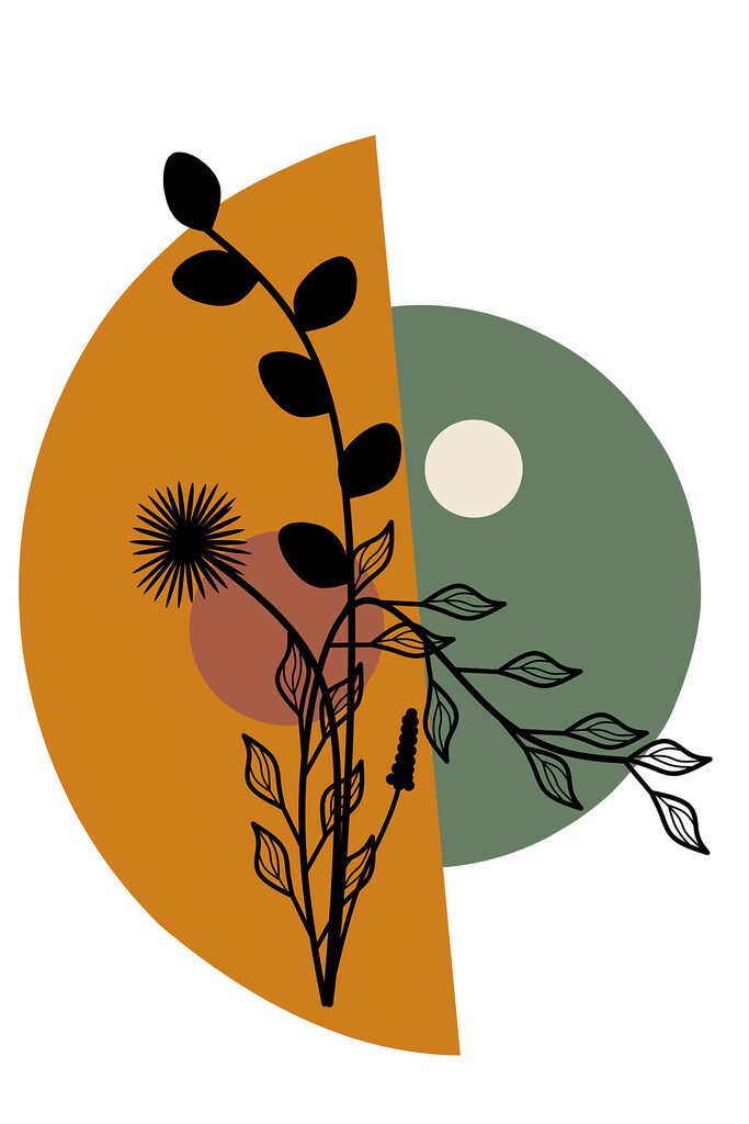 A plant with leaves and a flower A plant with leaves and a flower
