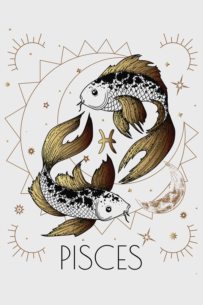 A drawing of a fish A drawing of a fish