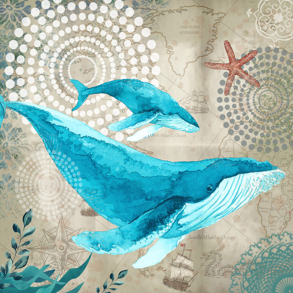 A blue whale and a whale A blue whale and a whale