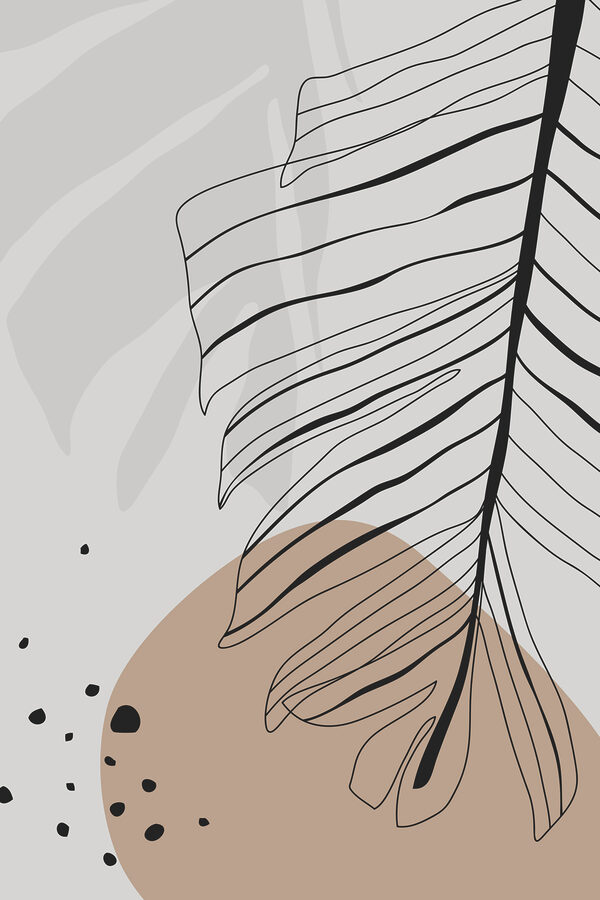 A close up of a leaf
