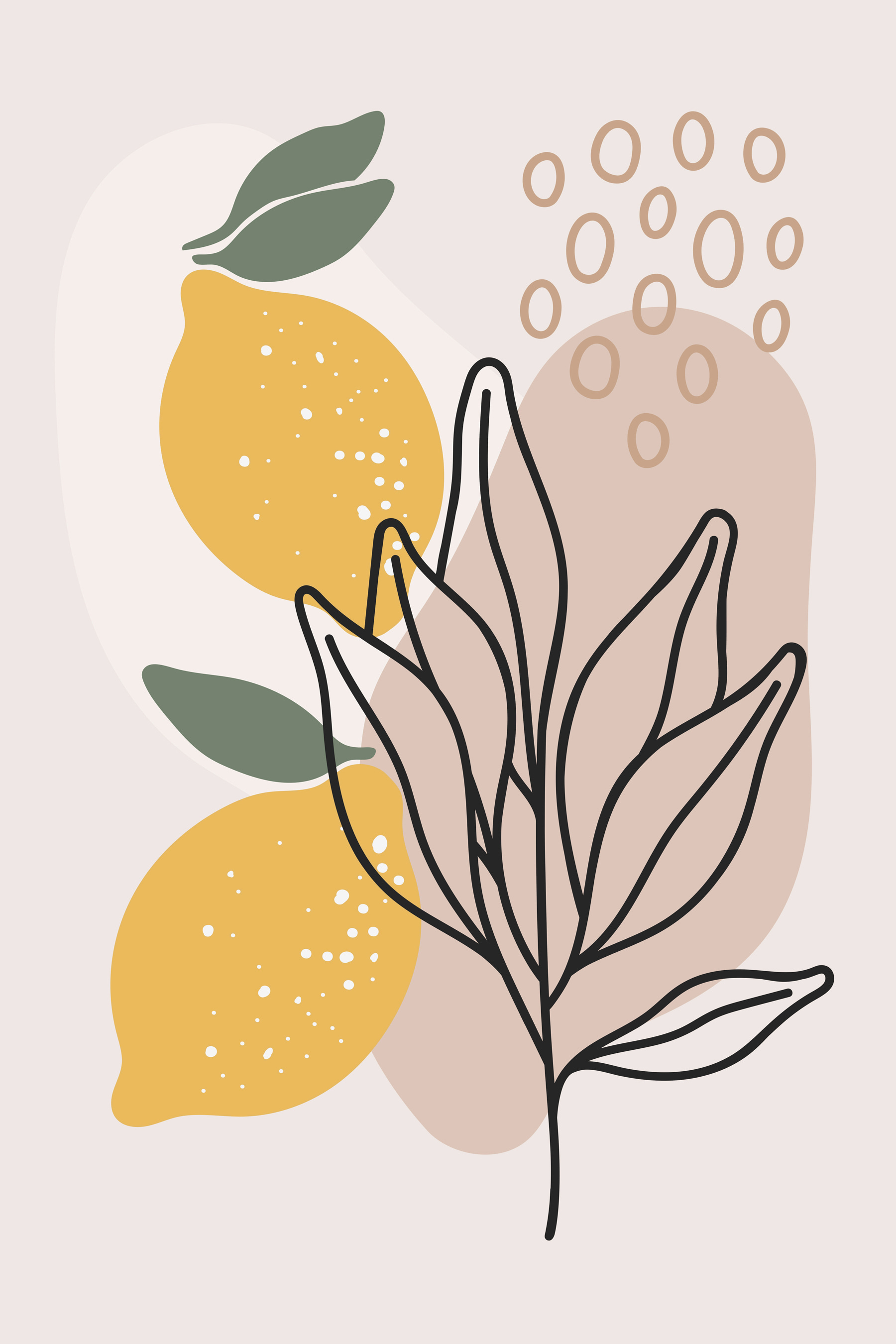 A lemons and leaves drawn on a white background
