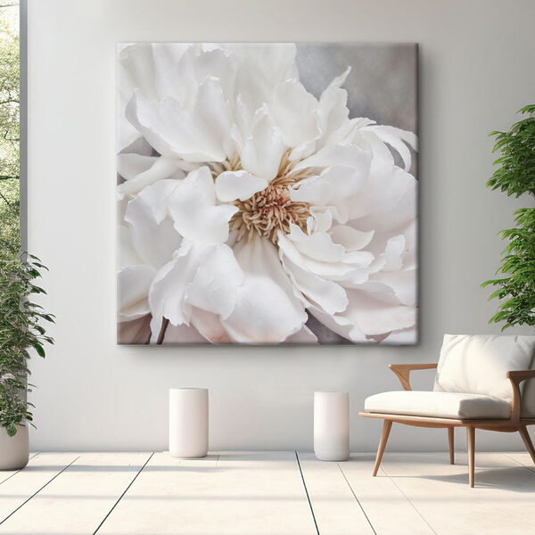 Cuadros Un primer plano de una flor blanca (SKU: s37161) Cuadros Cuadros Un primer plano de una flor blanca (SKU: s37161)