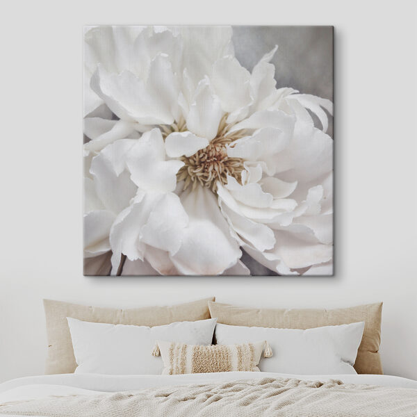 A close up of a white flower