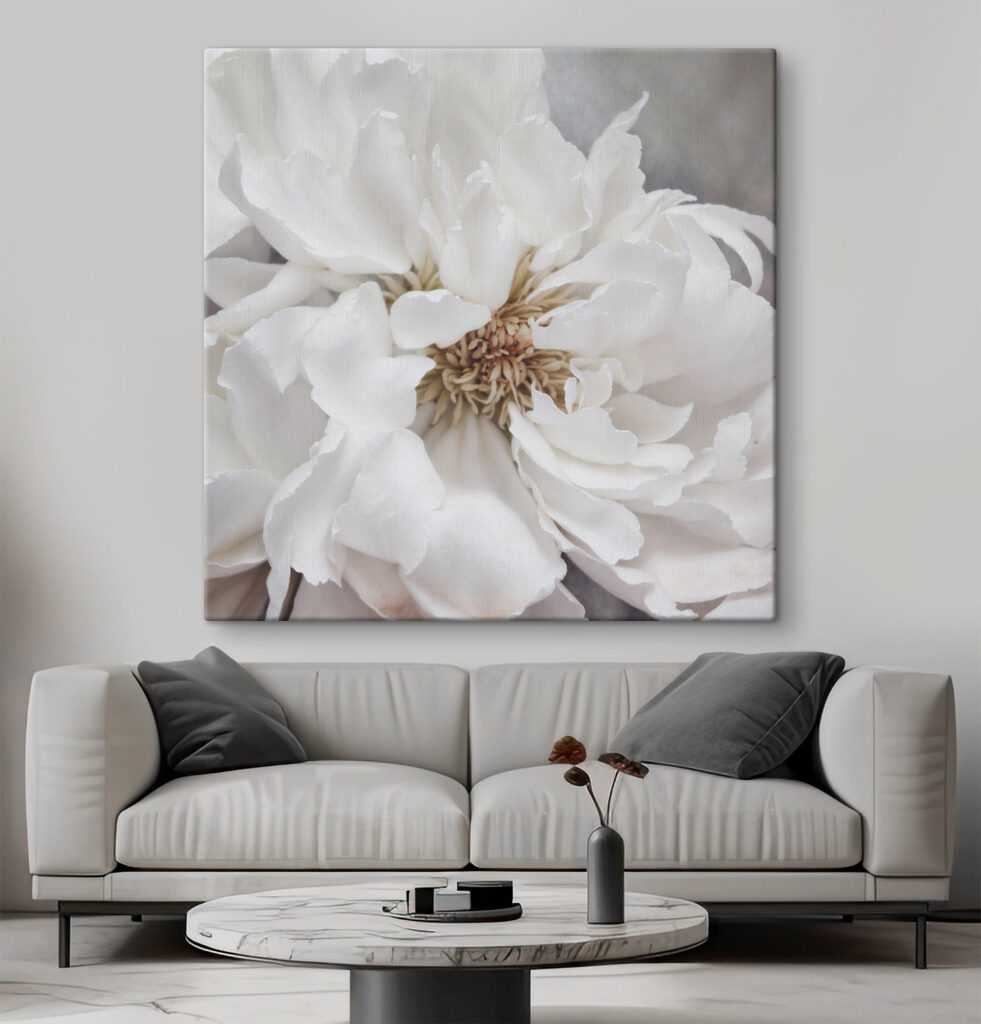 A close up of a white flower