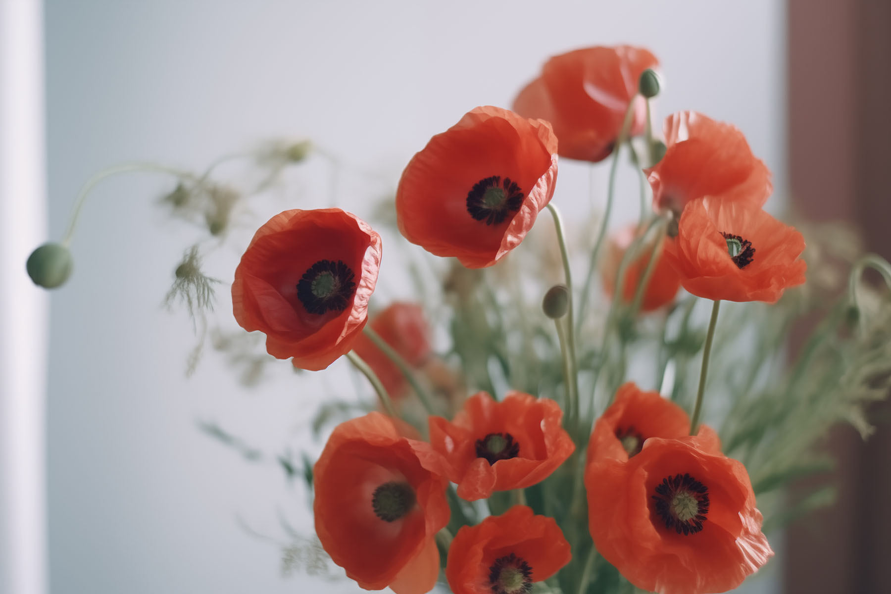 A bouquet of red flowers
