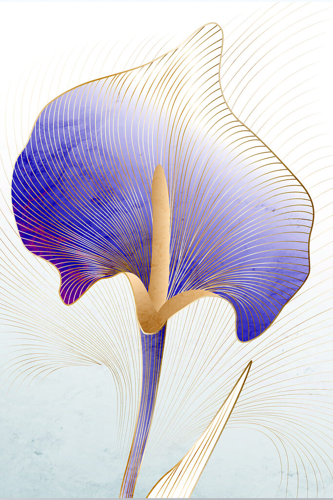 A blue and purple flower A blue and purple flower
