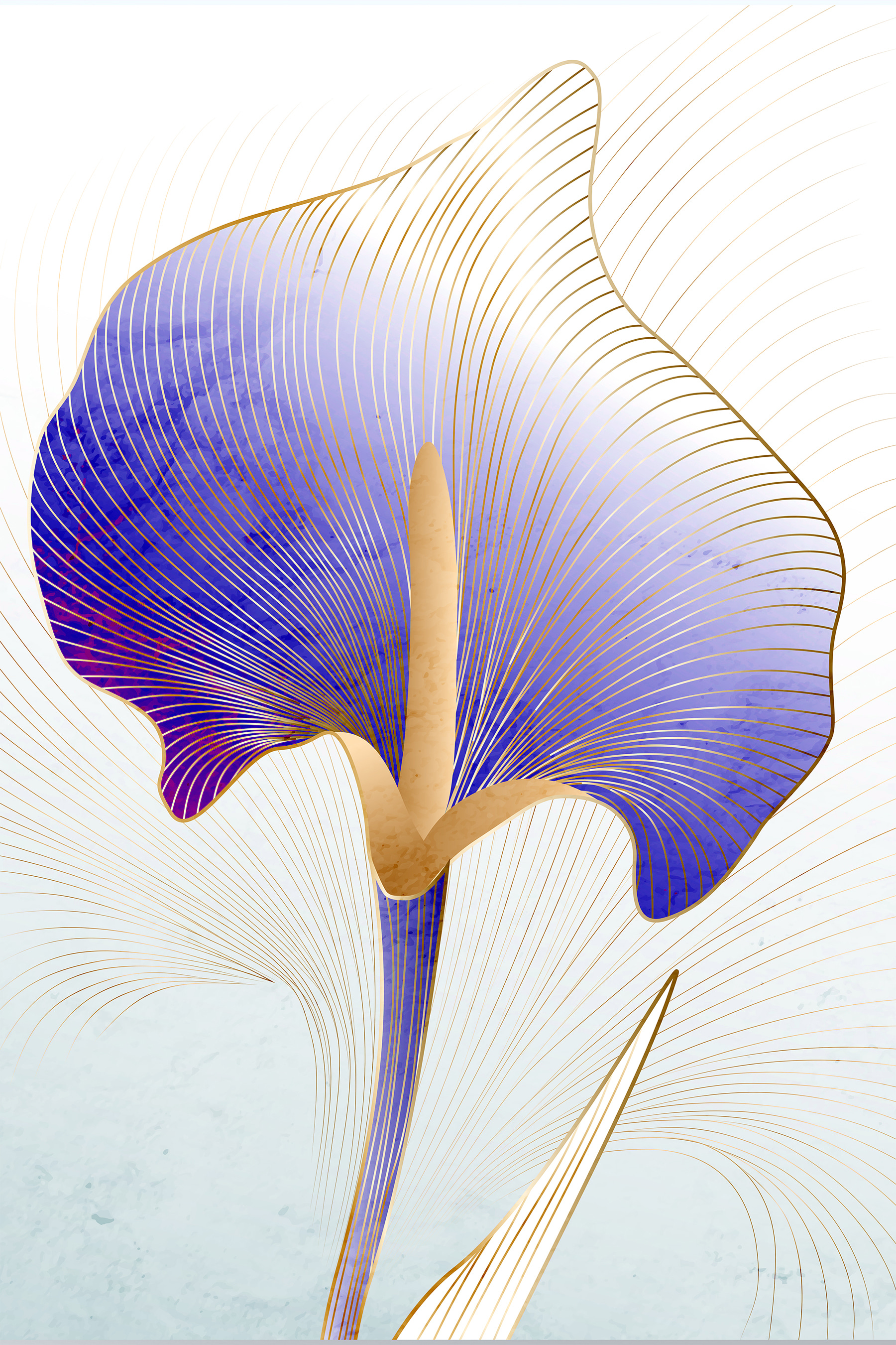 A blue and purple flower A blue and purple flower