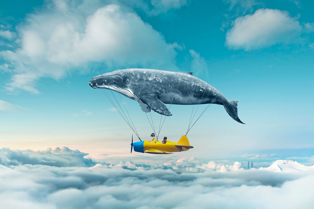 A whale and a whale attached to a small plane