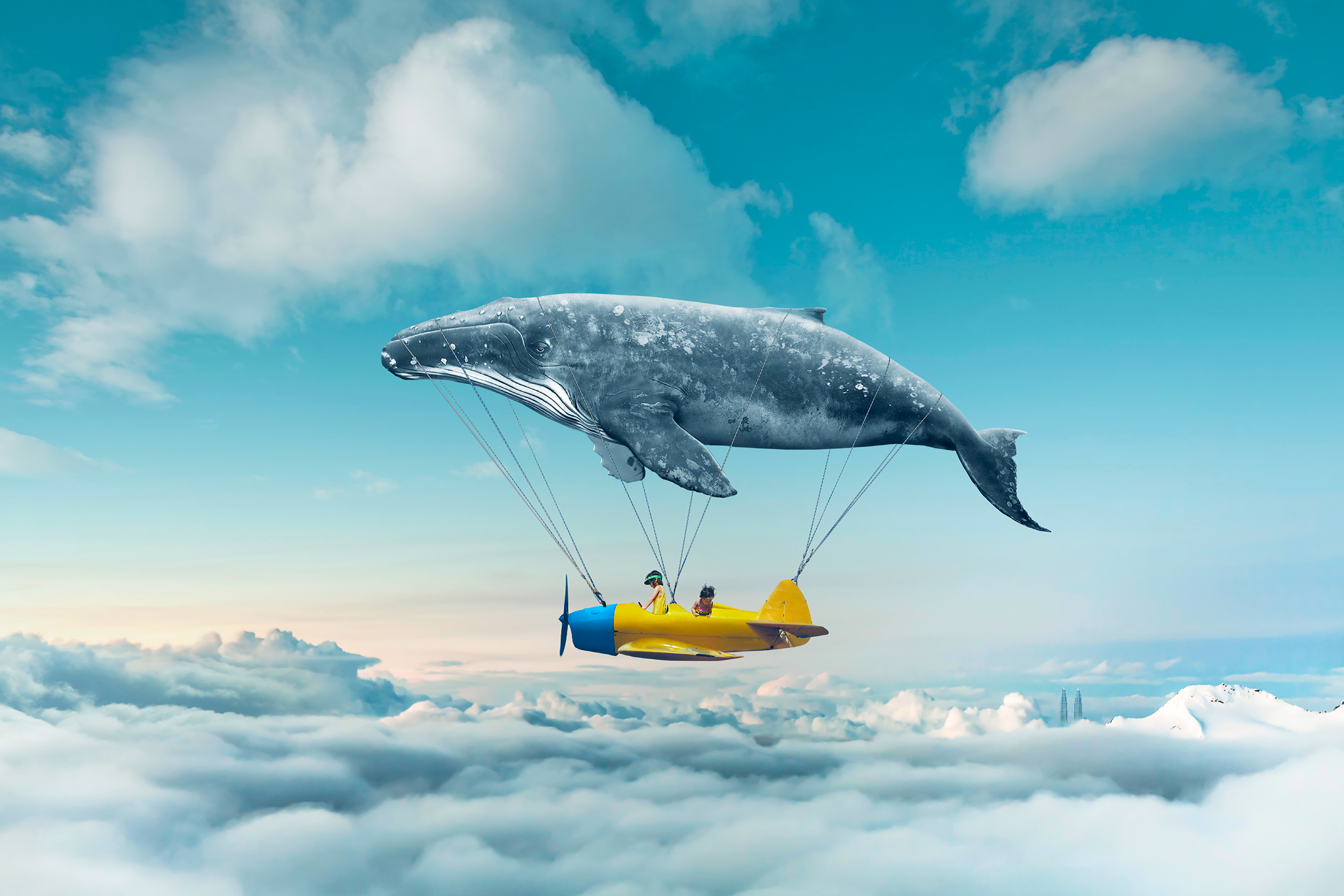 A whale and a whale attached to a small plane