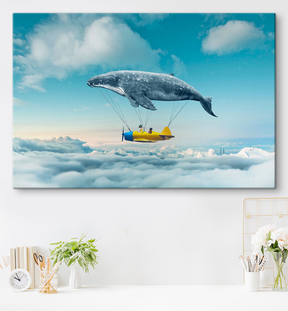 A whale and a whale attached to a small plane