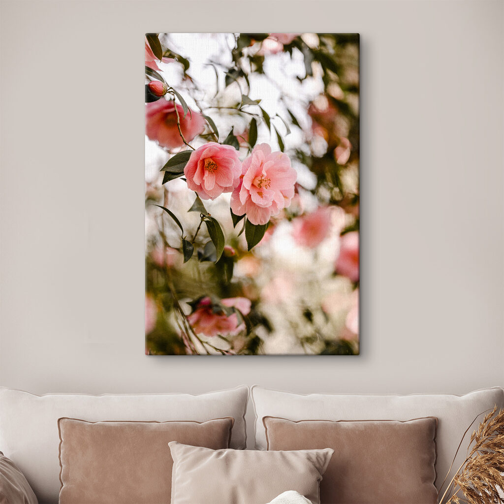 Pink flowers on a tree