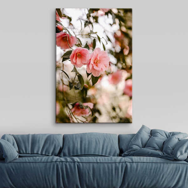 Pink flowers on a tree