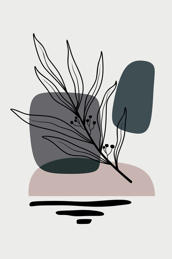 A plant with leaves and ovals A plant with leaves and ovals