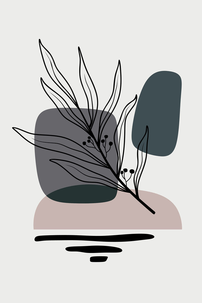 A plant with leaves and ovals A plant with leaves and ovals