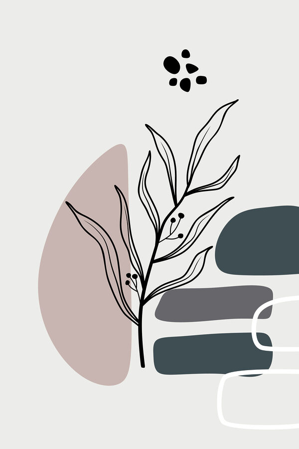 A plant with leaves and geometric shapes A plant with leaves and geometric shapes