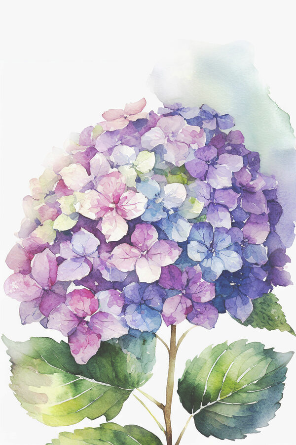 A watercolor of a flower