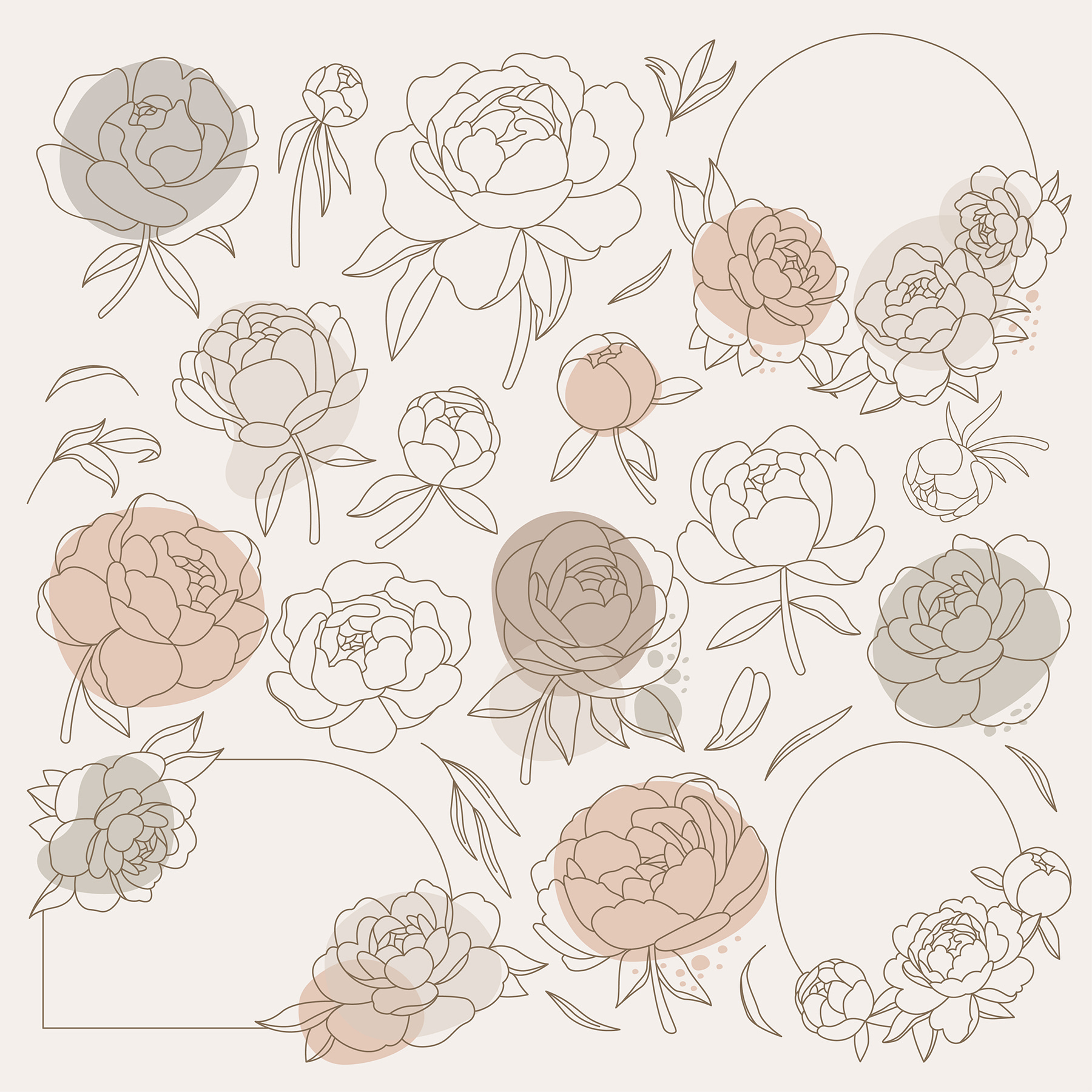 A group of flowers drawn on a white background A group of flowers drawn on a white background