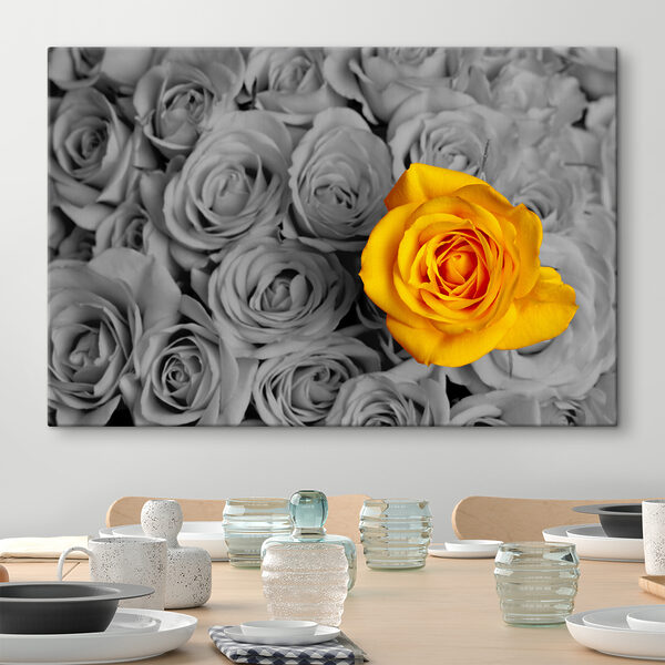A yellow rose surrounded by grey roses