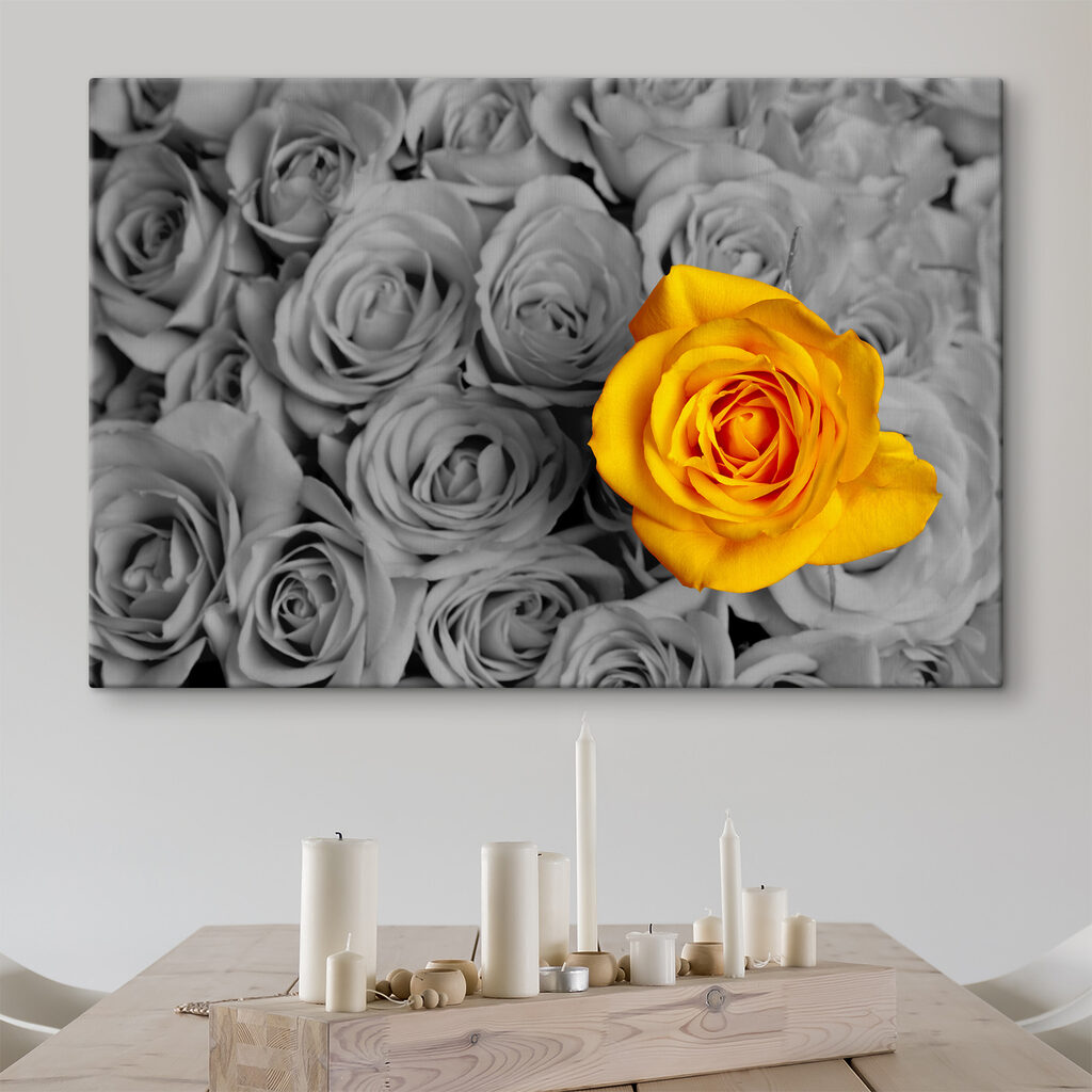 A yellow rose surrounded by grey roses