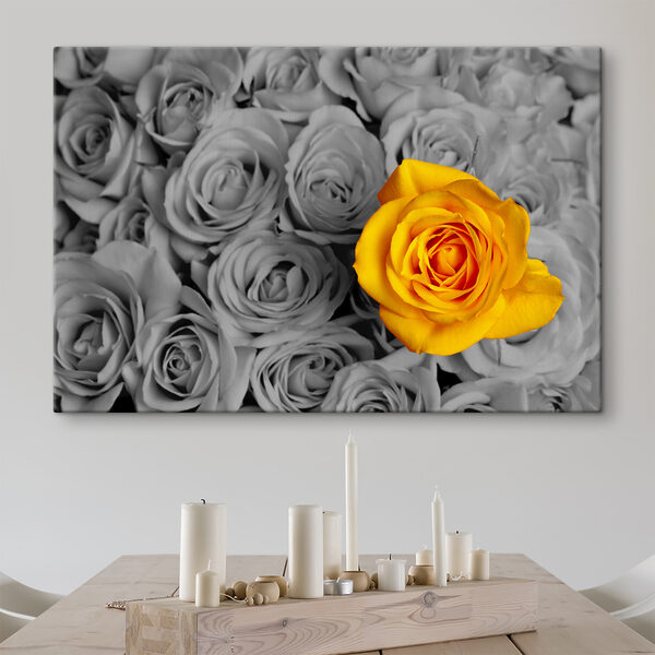 A yellow rose surrounded by grey roses