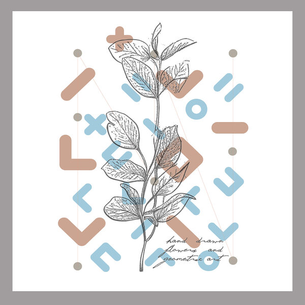 A drawing of a plant A drawing of a plant